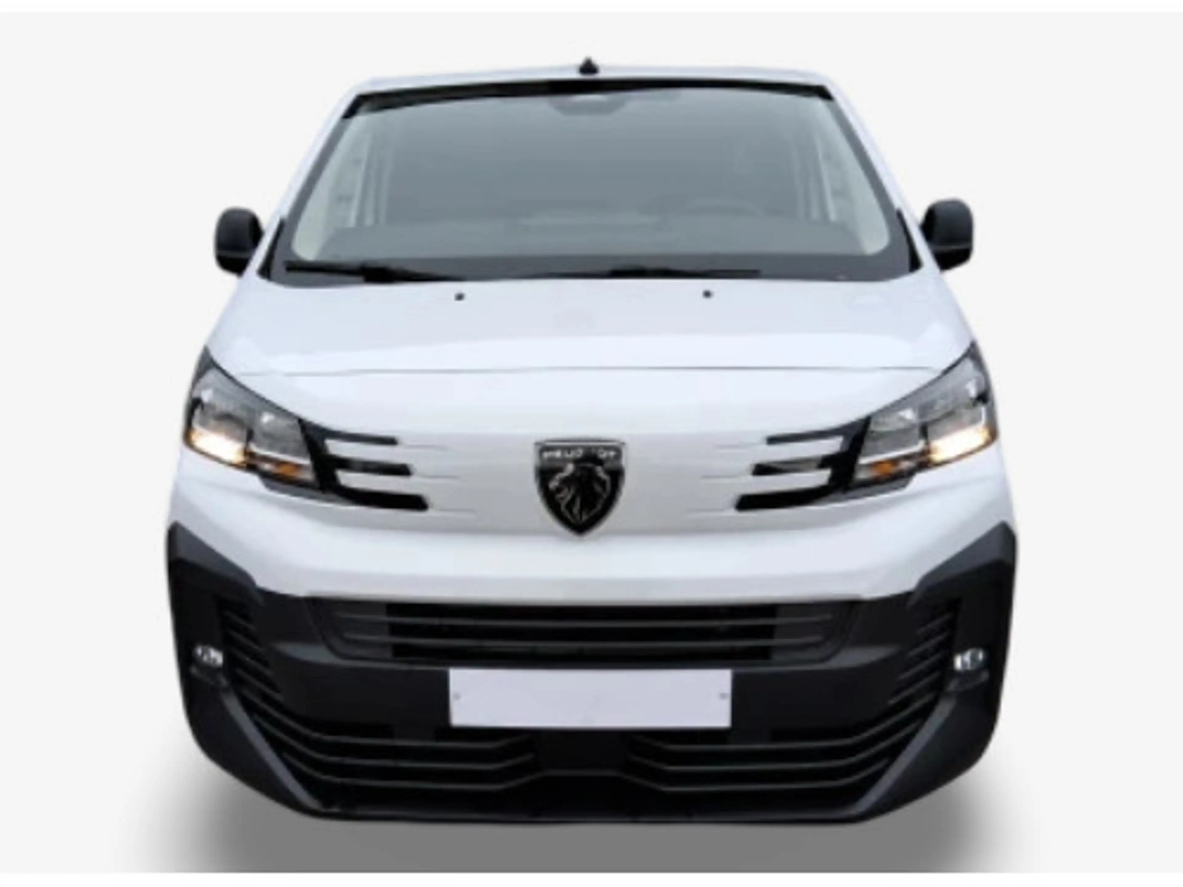 Peugeot Expert M 120 Moduwork/Klima/PDC — photo 2