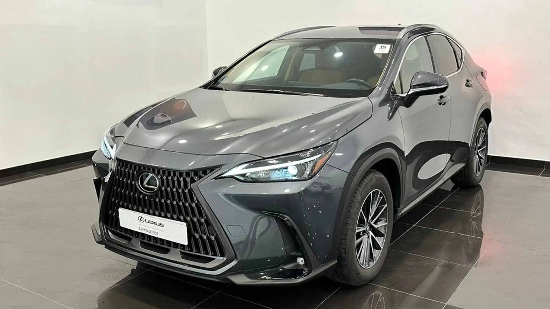 Lexus NX 450h+ 4WD EXECUTIVE Grau - 1