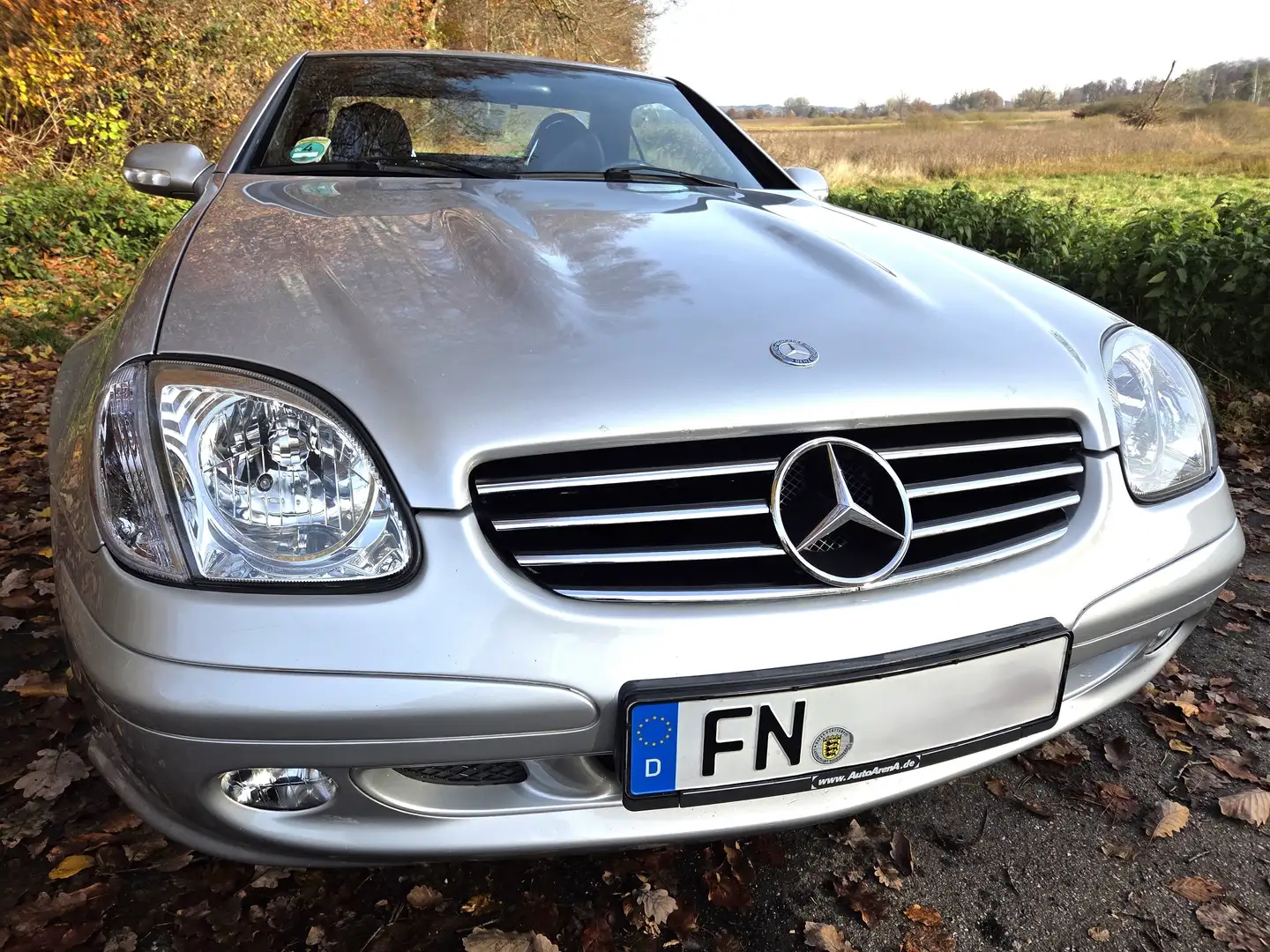 Mercedes-Benz SLK 320 SLK 320 Silber - 2