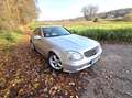 Mercedes-Benz SLK 320 SLK 320 Plateado - thumbnail 13