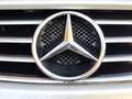 Mercedes-Benz SLK 320 SLK 320 Plateado - thumbnail 9