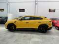 Lamborghini Urus 4.0 V8 PERFORMANTE  KM 8.200 IVA ESPOSTA - thumbnail 4