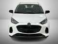 Mazda 2 1.5 VVT e-CVT Full Hybrid Prime Line Bianco - thumbnail 2