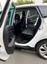 Renault Scenic Scenic Blue dCi 120 EDC Limited Blanc - thumbnail 9