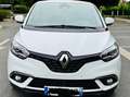 Renault Scenic Scenic Blue dCi 120 EDC Limited Blanc - thumbnail 1