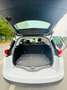 Renault Scenic Scenic Blue dCi 120 EDC Limited Blanc - thumbnail 5