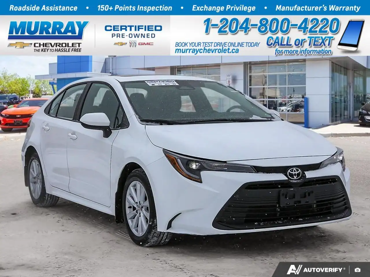 2024 Toyota Corolla