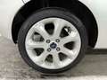 Ford Fiesta 1.25 Titanium Clima/Cruise/Nap/1e EIG Сірий - thumbnail 11