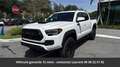 Toyota Tacoma TRD Sport Double Cab Acces 4x4 Tout compris hors homologation 4500e Weiß - thumbnail 11