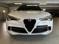 Alfa Romeo Stelvio 2.9 V6 510CV Quadrifoglio AT8 Q4 Bianco - thumbnail 6