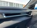 Ford Mustang GT FASTBACK COUPE 5.0 LED+Kamera+Navi Blau - thumbnail 17