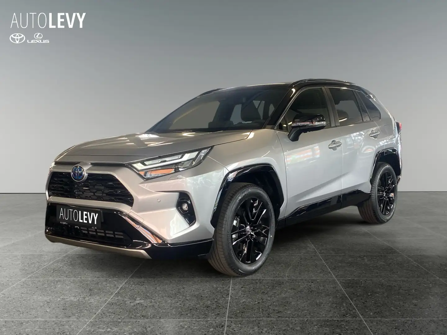 Toyota RAV 4 Hybrid 4x4 Style Selection *JBL*360*NAVI* Argent - 2