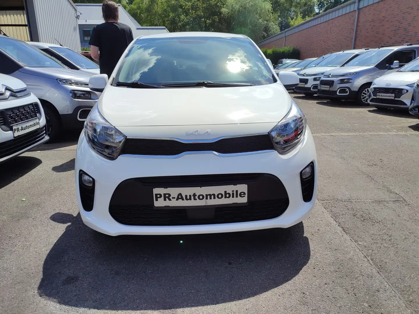 Kia Picanto 1.0 Automatik/Klimaaut/Alu/Navi+Cam Weiß - 2