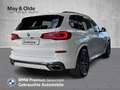BMW X5 xDrive 30d M Sportpaket ACC HUD StandHZG Pano Lede Weiß - thumbnail 3