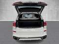 BMW X5 xDrive 30d M Sportpaket ACC HUD StandHZG Pano Lede Blanc - thumbnail 14
