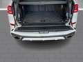 BMW X5 xDrive 30d M Sportpaket ACC HUD StandHZG Pano Lede Blanc - thumbnail 17