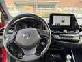 Toyota C-HR C-HR - 1,8 l Hybrid 4x2, Active Dr., CVT Rot - thumbnail 16