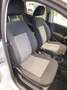 Volkswagen Polo 1.2 5 porte Trendline Grau - thumbnail 16