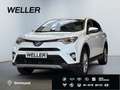 Toyota RAV 4 2.5 4x4 Hybrid Edition-S *AHK*CAM*el Heck* Bianco - thumbnail 1