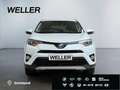 Toyota RAV 4 2.5 4x4 Hybrid Edition-S *AHK*CAM*el Heck* Bianco - thumbnail 2