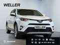 Toyota RAV 4 2.5 4x4 Hybrid Edition-S *AHK*CAM*el Heck* Bianco - thumbnail 4