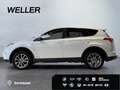 Toyota RAV 4 2.5 4x4 Hybrid Edition-S *AHK*CAM*el Heck* Bianco - thumbnail 5