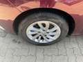 Renault Scenic III Limited TÜV 03.2027 Rot - thumbnail 10