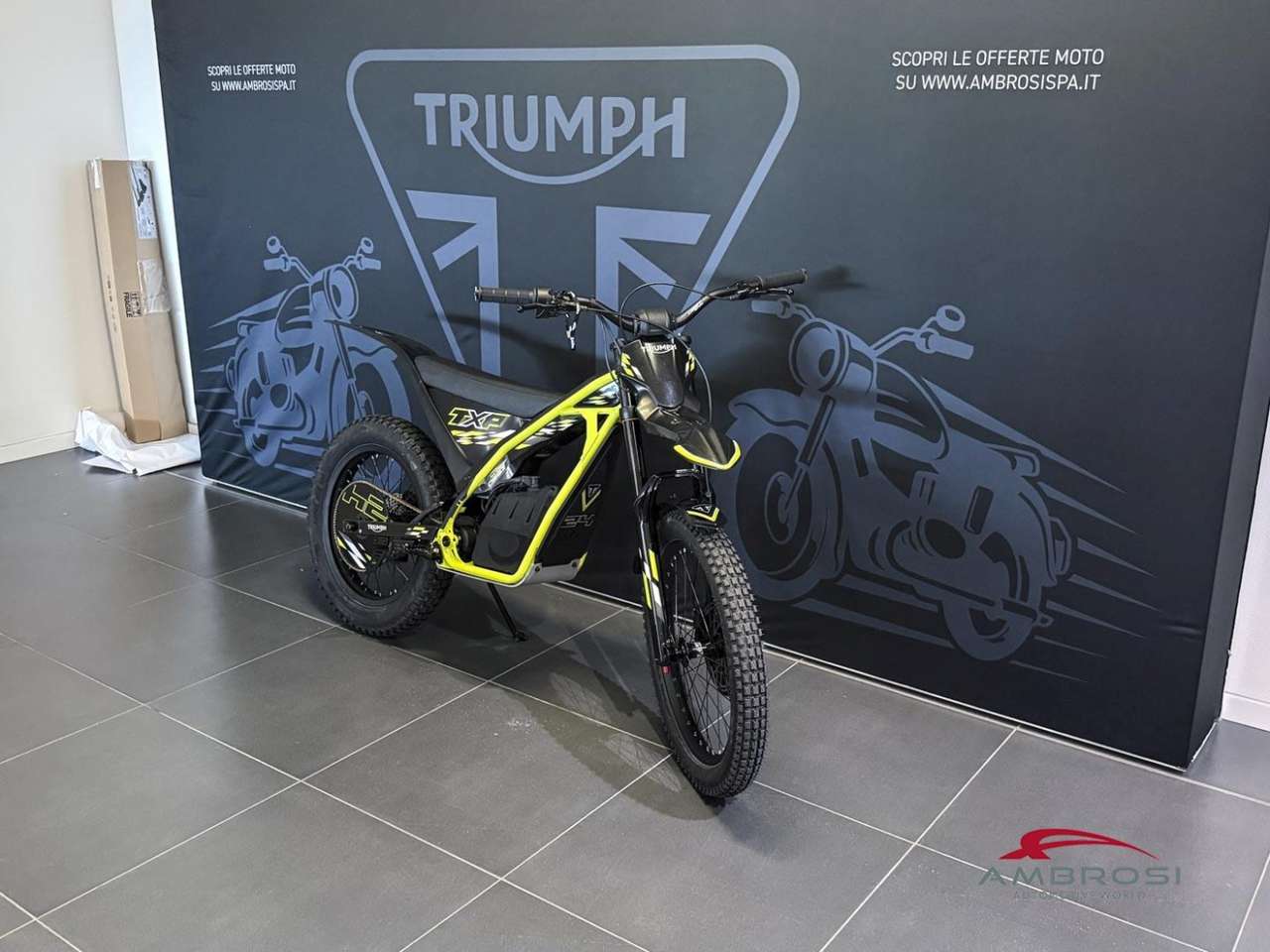 Triumph Others 24