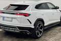 Lamborghini Urus 4.0 V8 Aut. Blanco - thumbnail 5