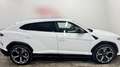Lamborghini Urus 4.0 V8 Aut. Blanco - thumbnail 3