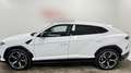 Lamborghini Urus 4.0 V8 Aut. Blanco - thumbnail 4