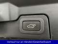 Land Rover Range Rover Evoque 4x4 Automatik LED Leder Pano Schwarz - thumbnail 20