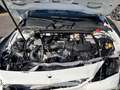 Mercedes-Benz GLA 200 GLA-X156 2017 Business auto Bianco - thumbnail 14
