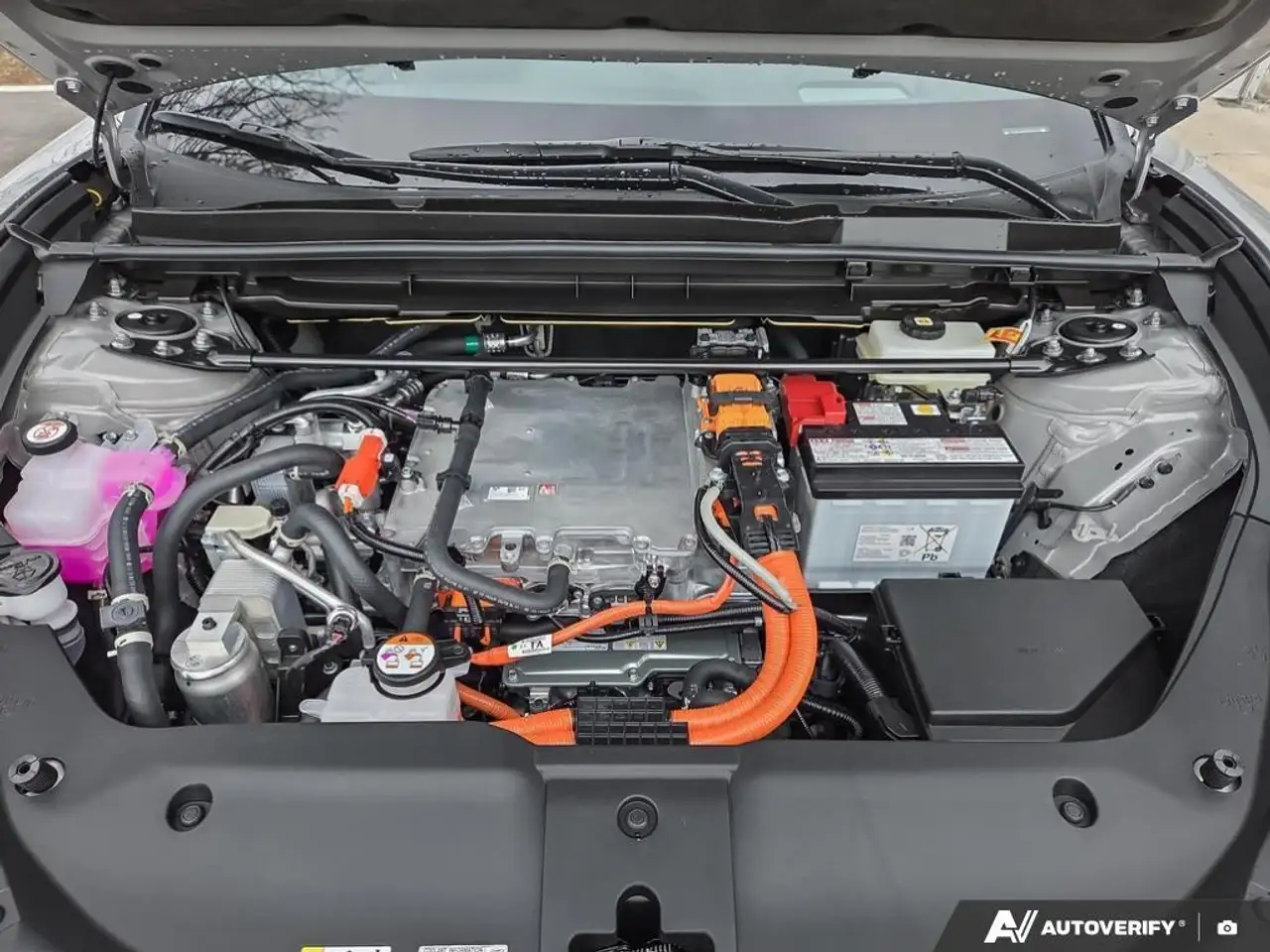 Lexus RZ снимка Lexus RZ