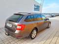 Skoda Octavia 1,6 TDI Style Braun - thumbnail 6