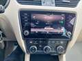 Skoda Octavia 1,6 TDI Style Braun - thumbnail 14