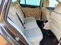 Skoda Octavia 1,6 TDI Style Braun - thumbnail 20