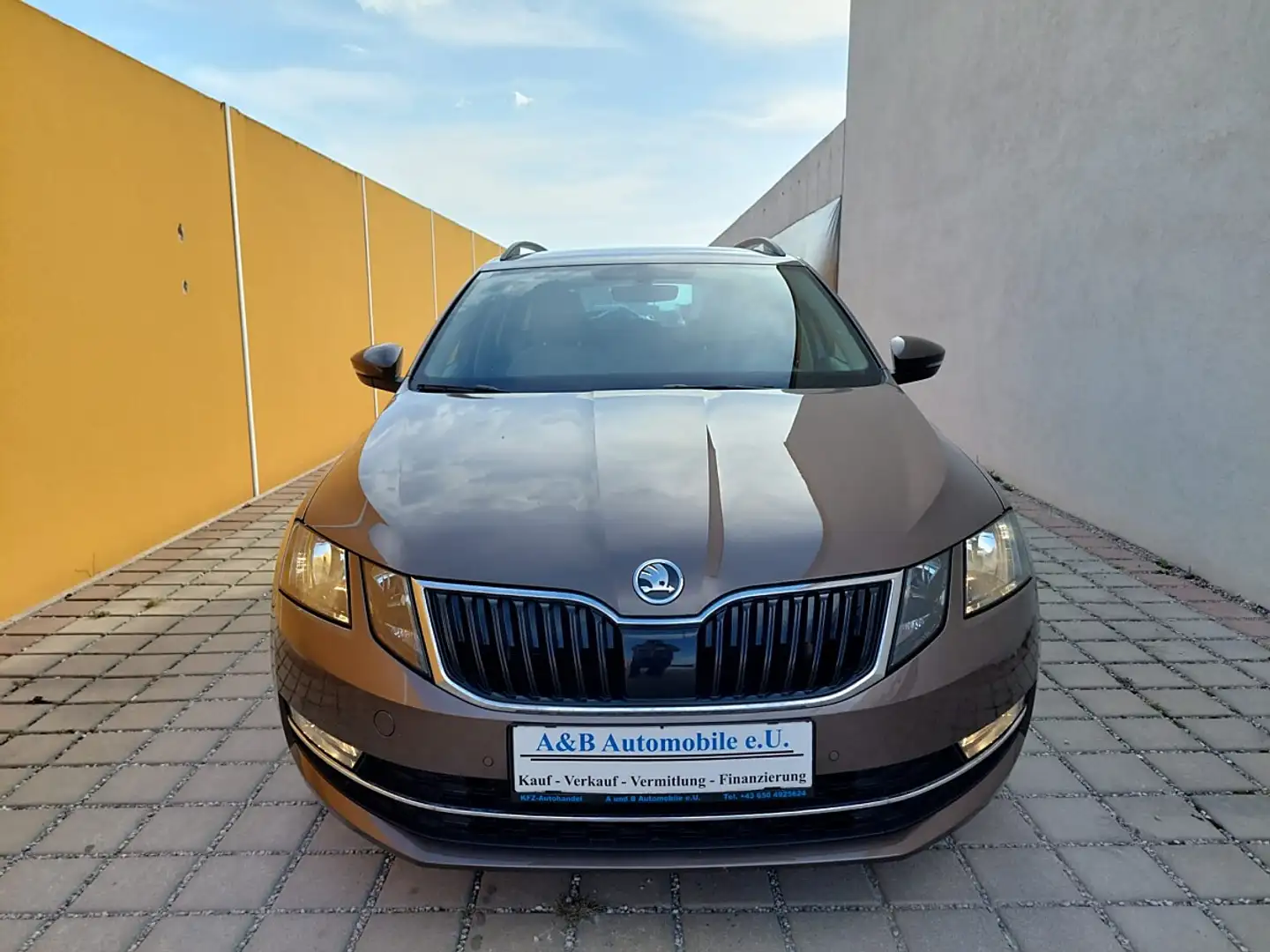 Skoda Octavia 1,6 TDI Style Braun - 2
