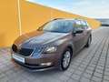 Skoda Octavia 1,6 TDI Style Braun - thumbnail 3