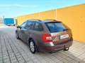 Skoda Octavia 1,6 TDI Style Braun - thumbnail 5