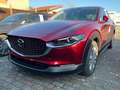 Mazda CX-30 e-Skyactive G140 Exclusive-Line Rot - thumbnail 2