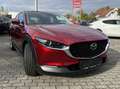 Mazda CX-30 e-Skyactive G140 Exclusive-Line Rot - thumbnail 2
