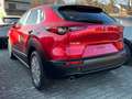 Mazda CX-30 e-Skyactive G140 Exclusive-Line Rot - thumbnail 3