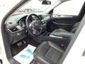 Mercedes-Benz ML 350 ML 350 CDI BlueTec *NAVI*LEDER*LM*TÜV-NEU*XENON Weiß - thumbnail 13