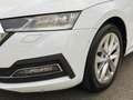 Skoda Octavia Combi 2.0 TDI DSG Style Kamera Weiß - thumbnail 5