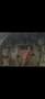 Autobianchi Sonstige bianchina - thumbnail 6