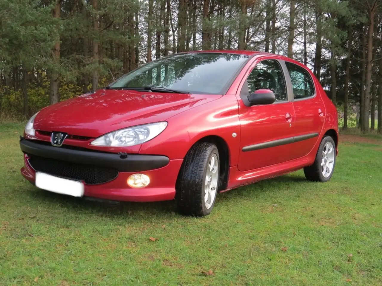 Peugeot 206 2.0 HDi Roland Garros