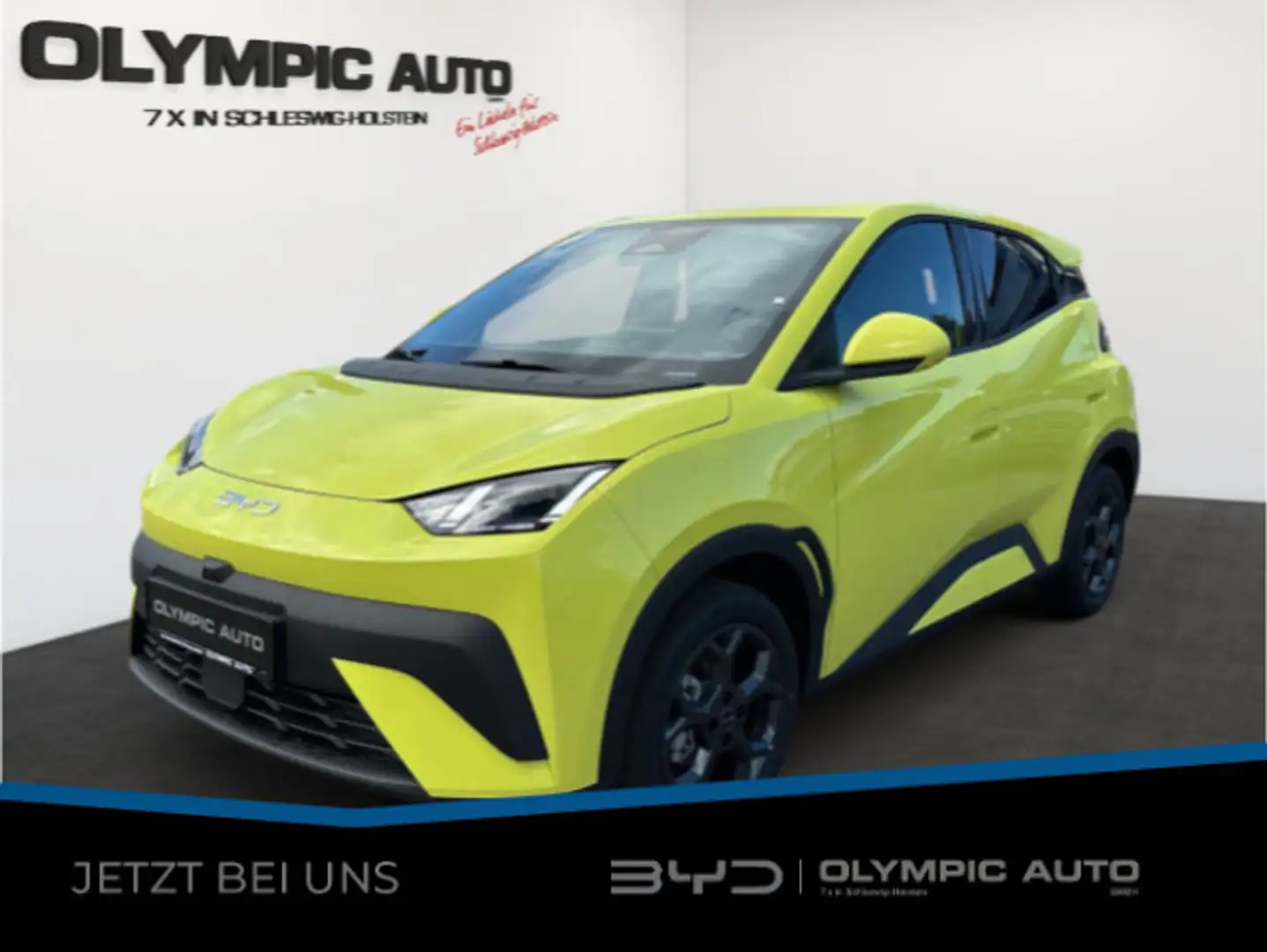 BYD Dolphin Dolphin Surf Comfort 43kWh 360°KAMERA LED SITZHZ Зелёный - 1