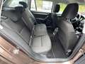 Skoda Octavia Combi Active 1.2 AHK Braun - thumbnail 13