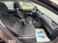 Skoda Octavia Combi Active 1.2 AHK Braun - thumbnail 11